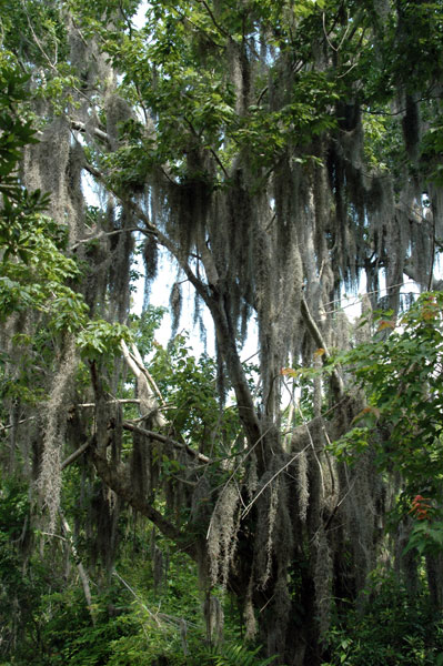Florida Visit May 2007
