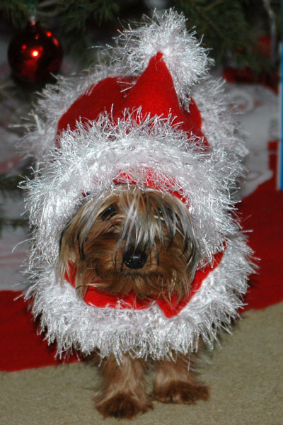 Oakley 2006 Xmas